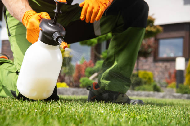 Professional Pest Control in Avenue B And C, AZ