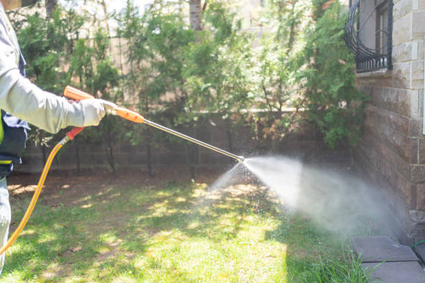 Best Ant Control Services  in Avenue B And C, AZ