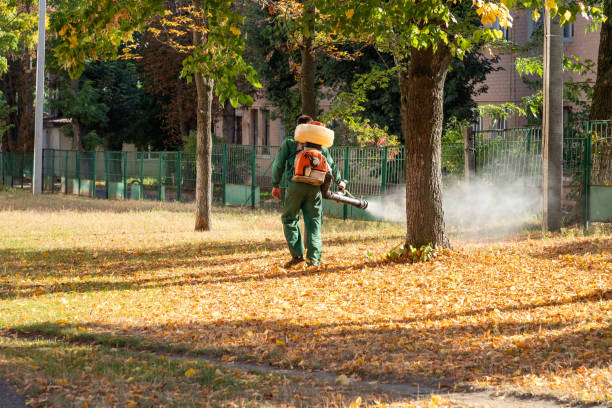 Best Commercial Pest Control Services  in Avenue B And C, AZ