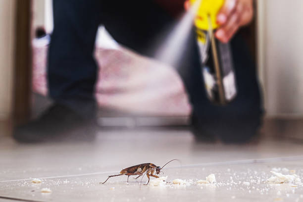 Best Emergency Pest Control  in Avenue B And C, AZ