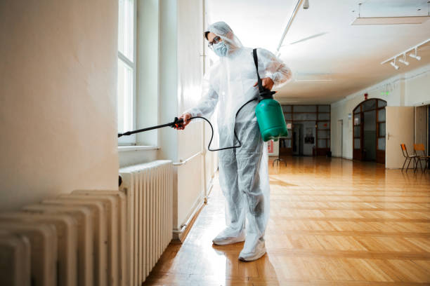 Best Exterminator Services  in Avenue B And C, AZ